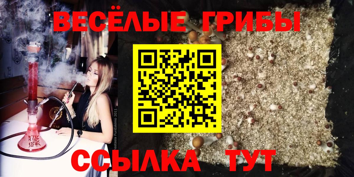 Галлюциногенные грибы MAGIC MUSHROOMS Тюмень